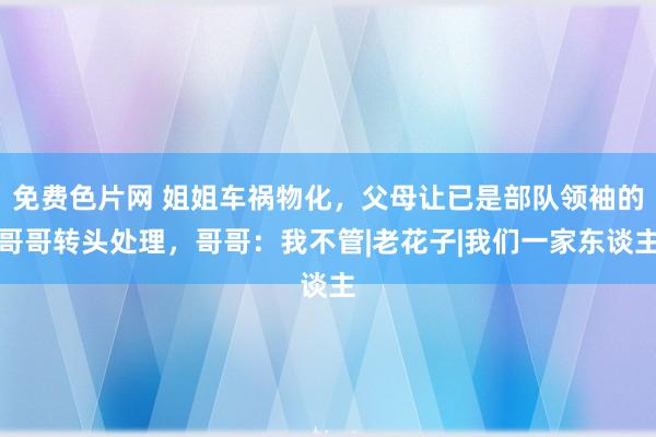 免费色片网 姐姐车祸物化，父母让已是部队领袖的哥哥转头处理，哥哥：我不管|老花子|我们一家东谈主