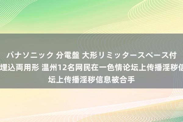 パナソニック 分電盤 大形リミッタースペース付 露出・半埋込両用形 温州12名网民在一色情论坛上传播淫秽信息被合手