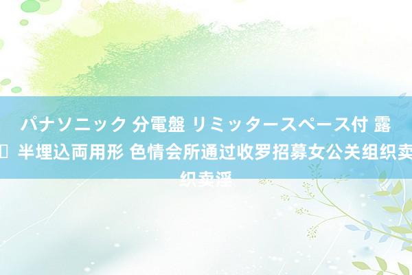 パナソニック 分電盤 リミッタースペース付 露出・半埋込両用形 色情会所通过收罗招募女公关组织卖淫