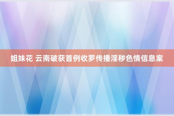 姐妹花 云南破获首例收罗传播淫秽色情信息案