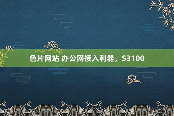 色片网站 办公网接入利器，S3100