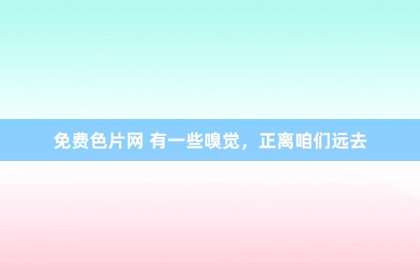 免费色片网 有一些嗅觉，正离咱们远去