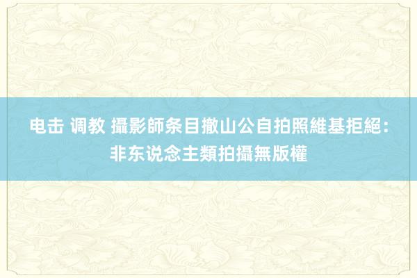 电击 调教 攝影師条目撤山公自拍照　維基拒絕：非东说念主類拍攝無版權